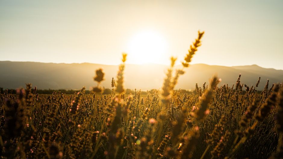 A Realistic View Of Progress: Where to Start