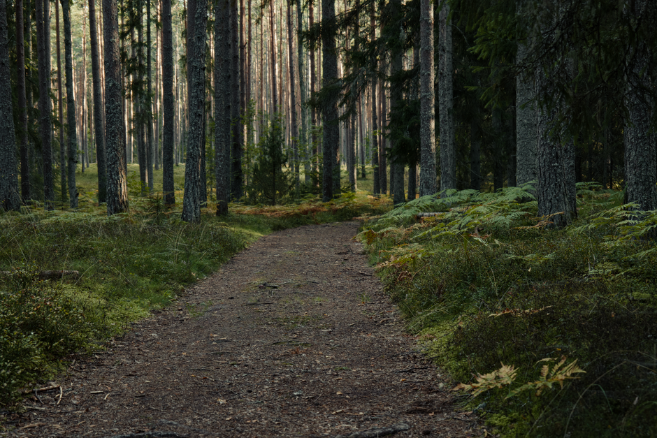 A Sensible Look at Health Over A Lifetime, Not A Season