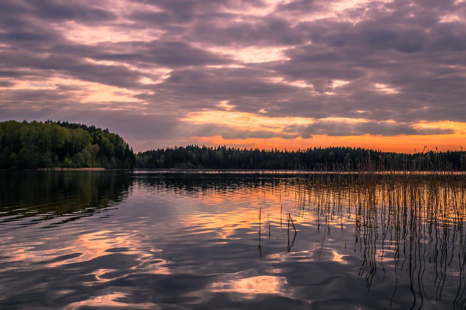 A Step-by-Step Look at Mental Health Is Health