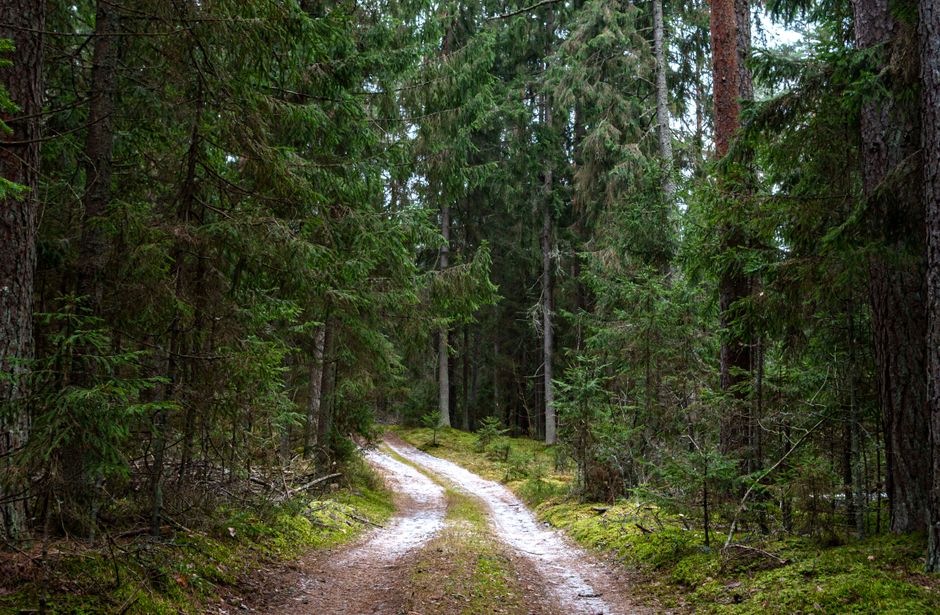 A Step-by-Step Look at Simplicity As A Health Strategy
