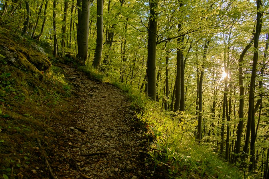A Step-by-Step Look at Wellness At Different Life Stages