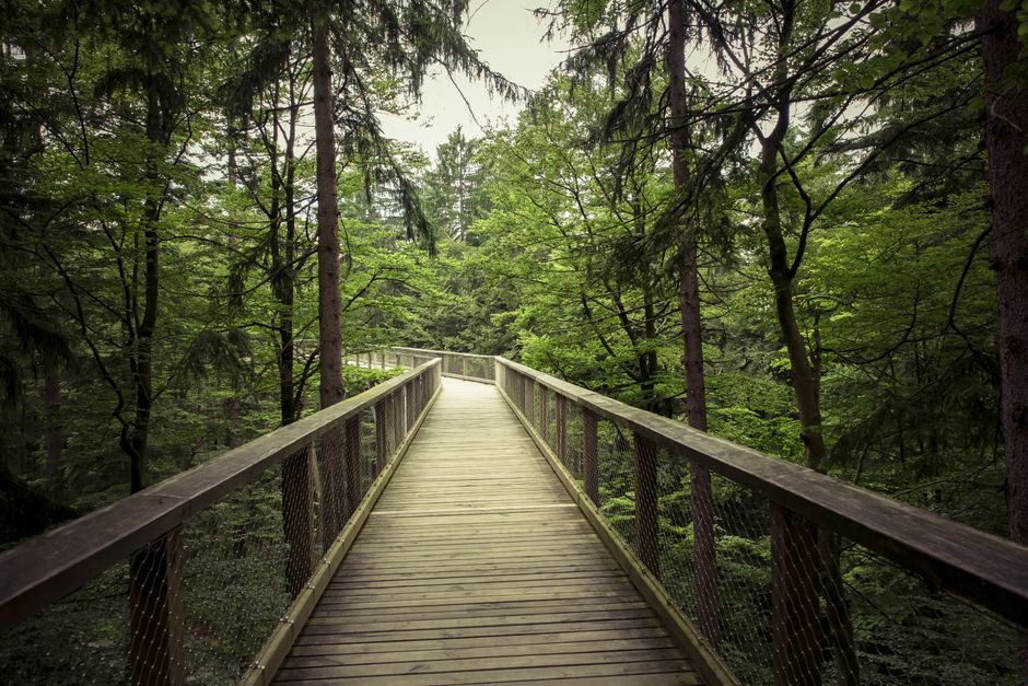 How to Adapt Your Exercise Routine Through Every Life Stage