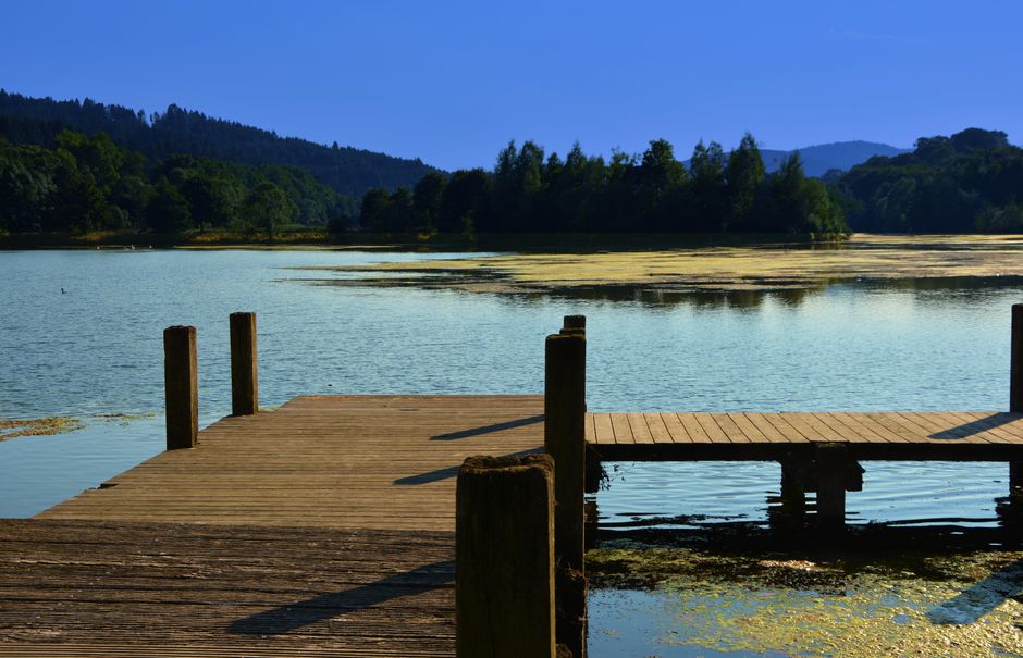 Building a Daily Routine Around Understanding Health And Wellness