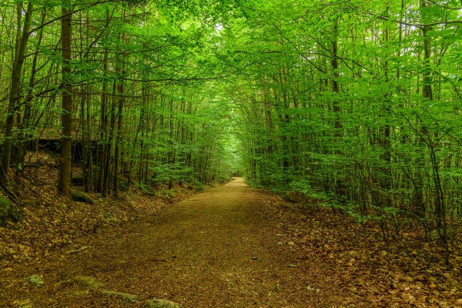 Everyday Habits Built Around Moving More Without Going To A Gym, Minus the Overwhelm