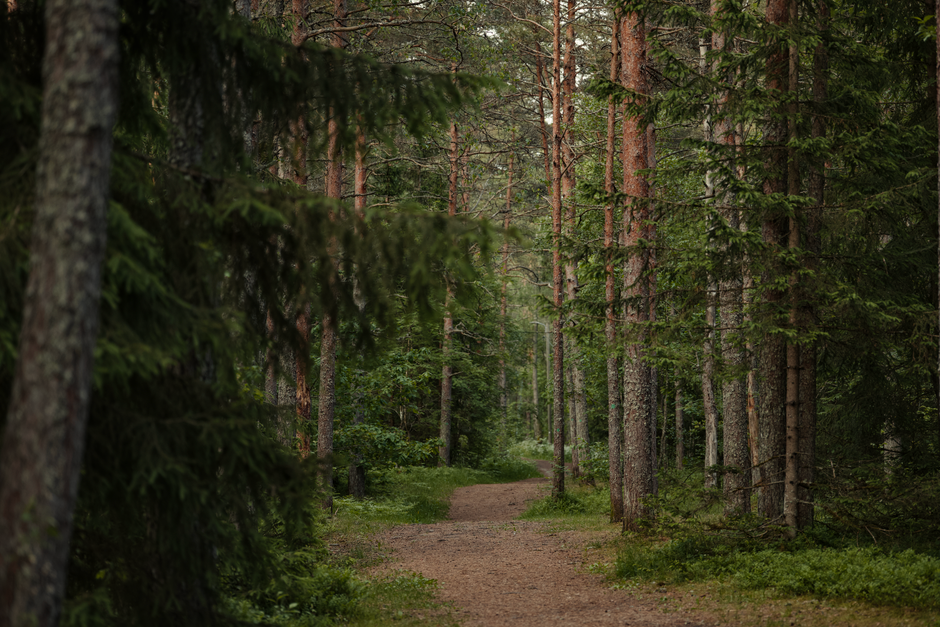Everyday Habits Built Around Tracking, Measuring And When To Stop, Made Simple