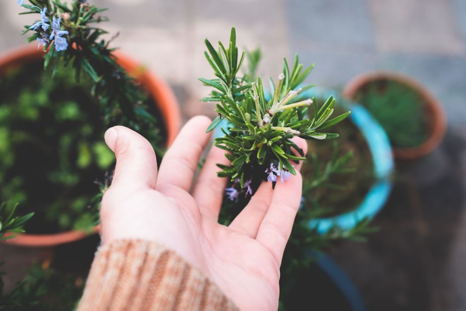 Gut Health Beyond The Marketing: The Part People Skip
