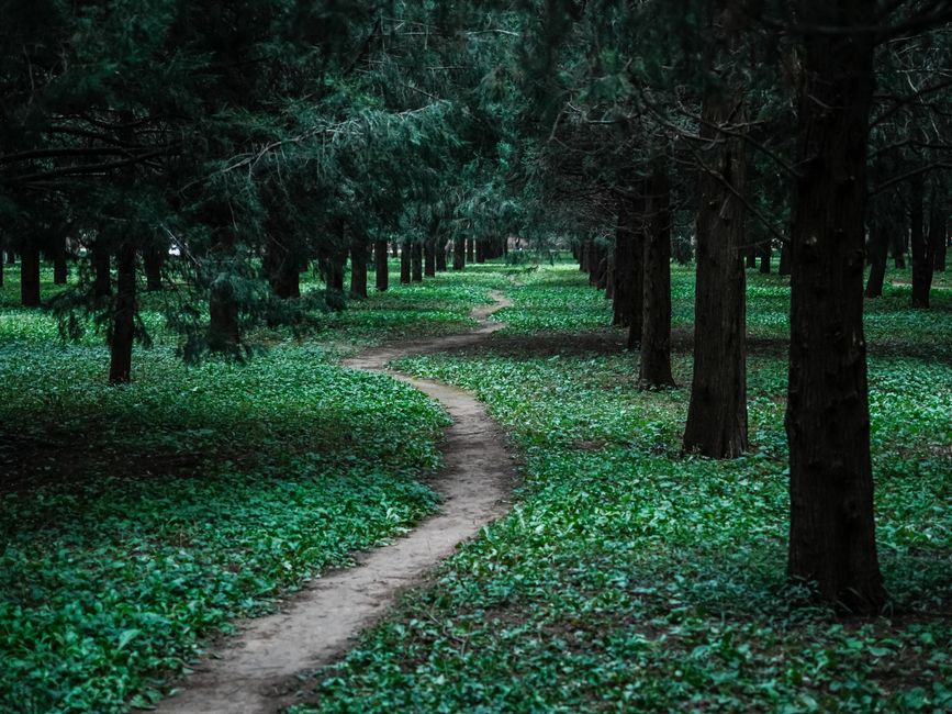 Habits: How They Actually Form: Sorting Fact From Fiction