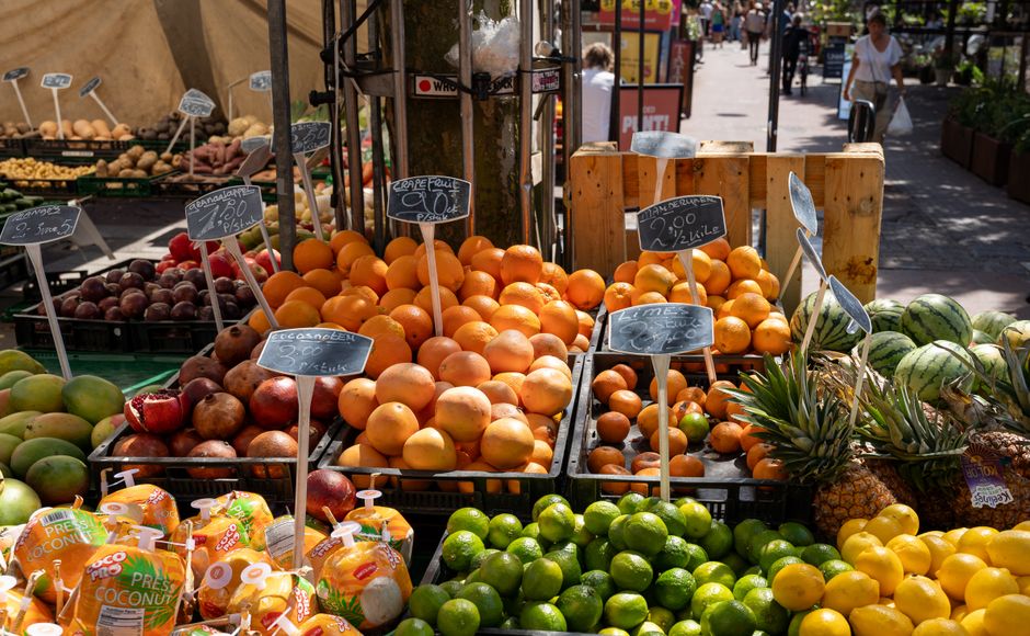 Holding On to How Much Protein You Actually Need Over Time, One Step at a Time