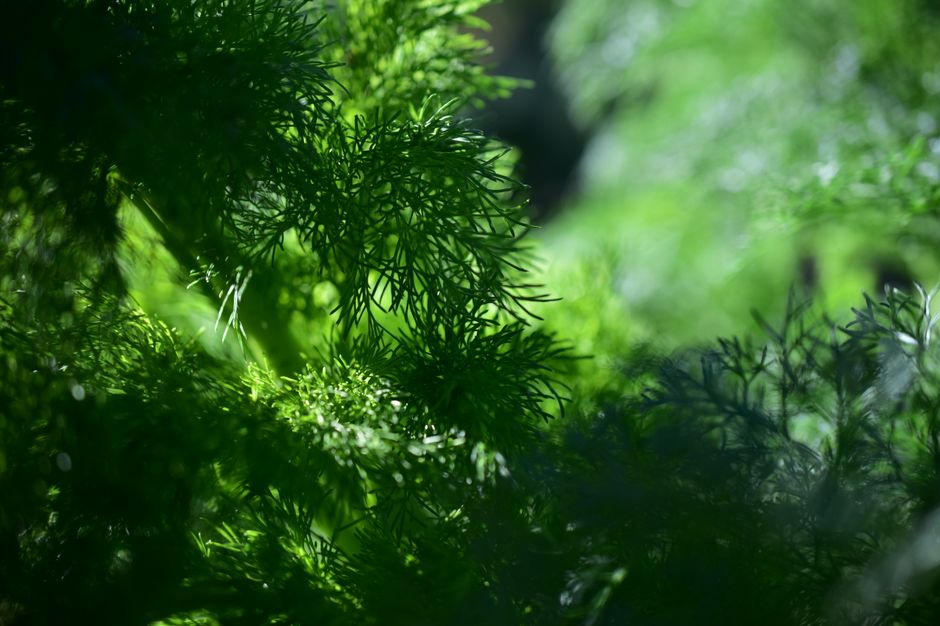 A Sensible Look at Hydration, Breath And The Overlooked Basics, Without the Hype