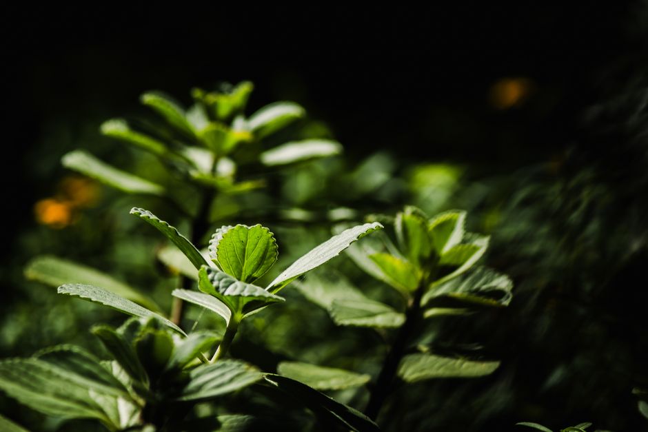 Hydration, Breath And The Overlooked Basics When You're Short on Time — Part 2