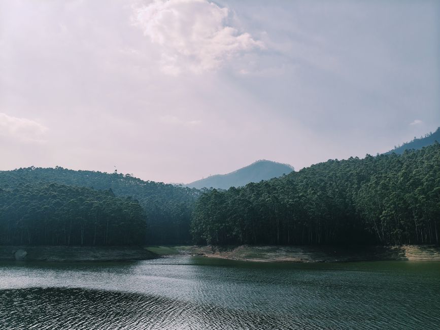 Loneliness As A Health Factor: A Calmer Approach