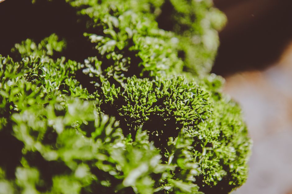 Magnesium: Why So Many People Run Short: What Changes With Age