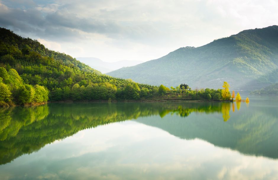 Motivation, Discipline And Self-Compassion: A Beginner's Guide