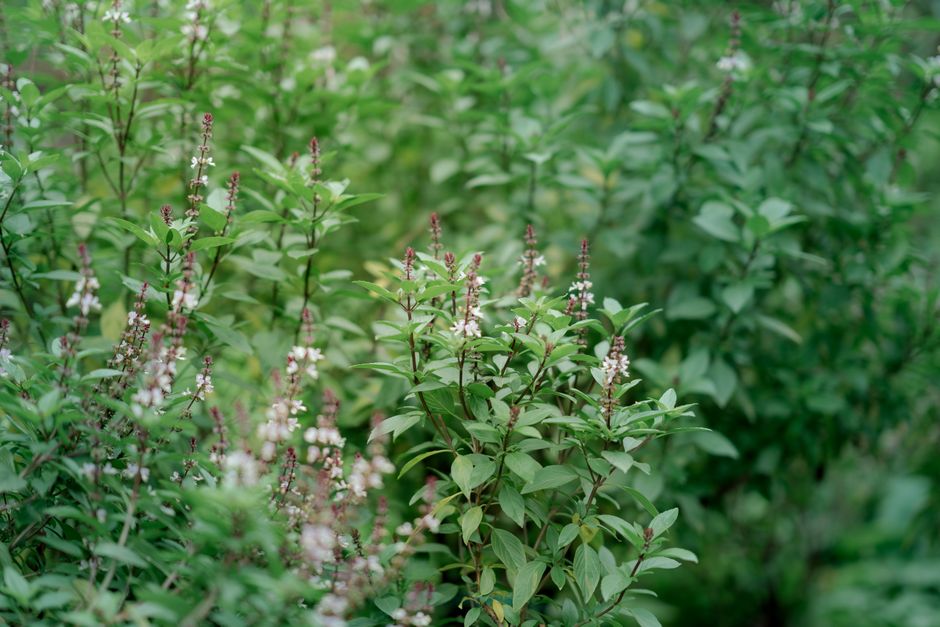 The Power of the Basics: Why Breath and Hydration Matter
