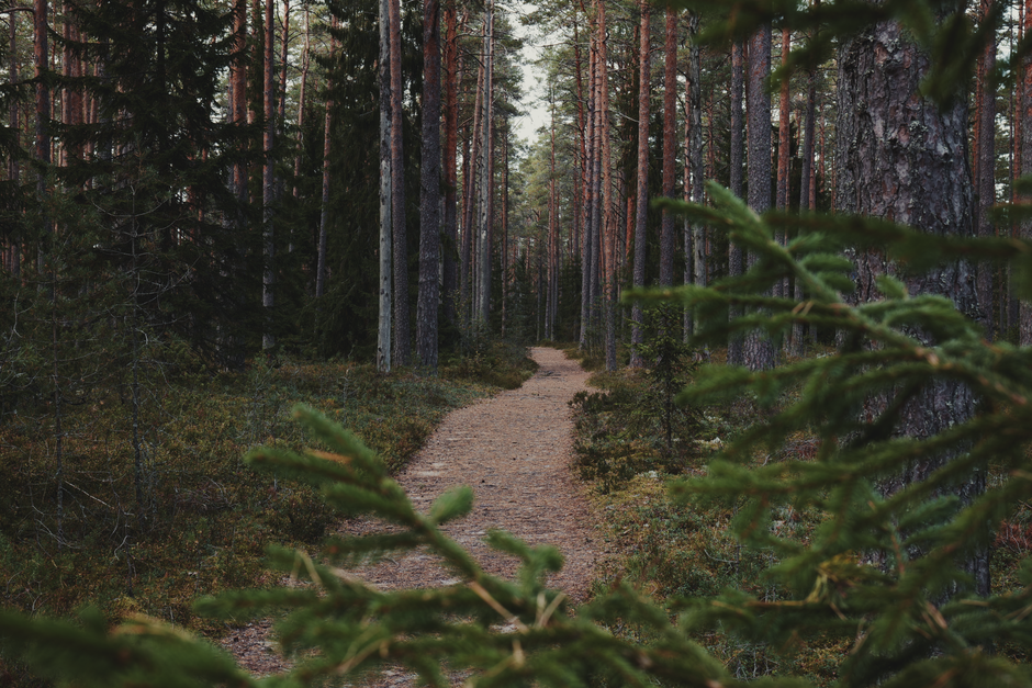 Simplicity As A Health Strategy: A Beginner's Guide
