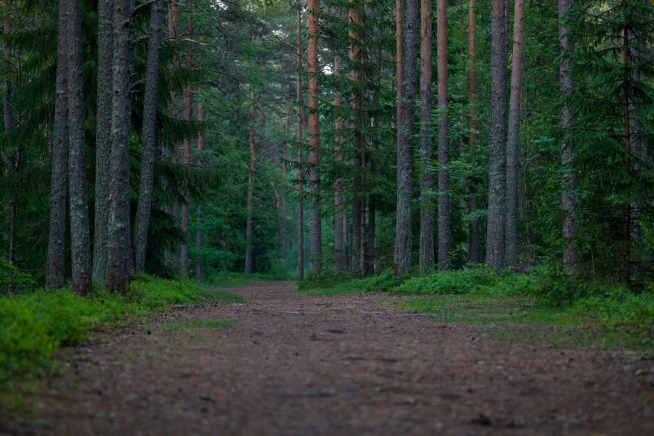 Starting Over Without Starting From Scratch: Practical Steps You Can Use