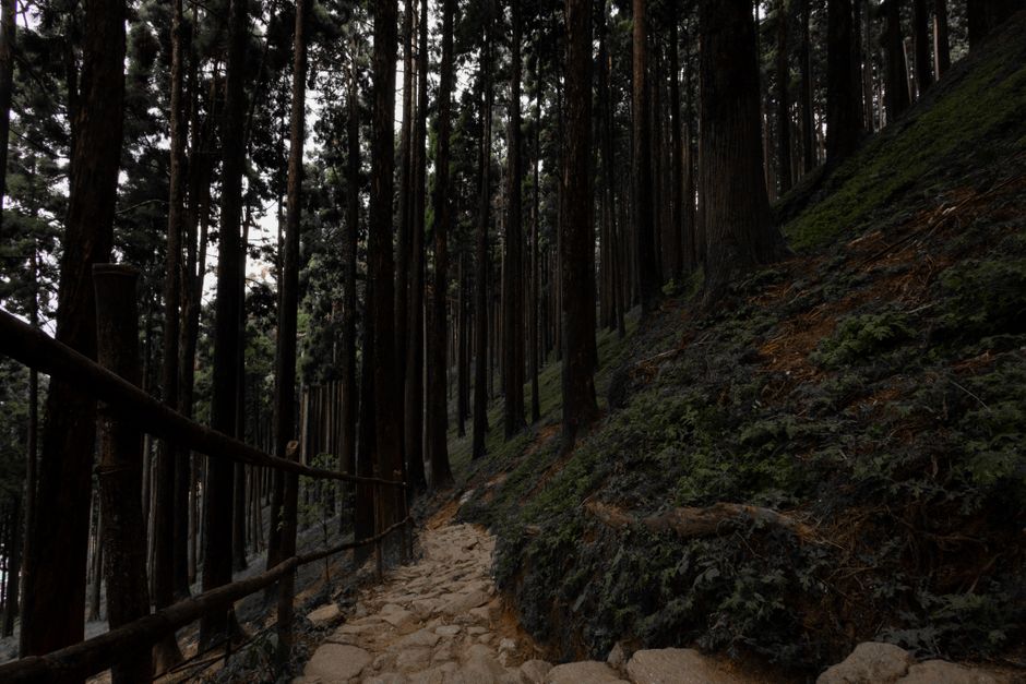 The Ordinary Virtues Of Walking: Making It Part of Your Day