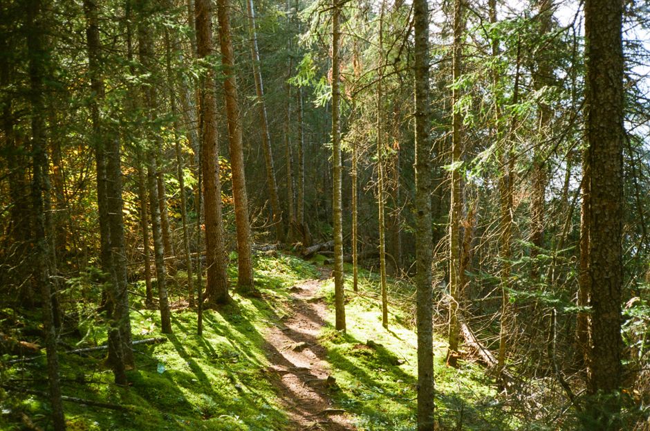 The Pleasure Principle In Healthy Living: Myths and Facts
