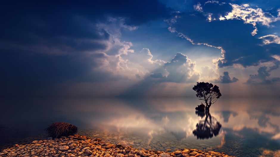 Understanding Health And Wellness: Practical Steps You Can Use
