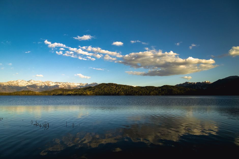 Where People Go Wrong With Motivation, Discipline And Self-Compassion, Explained Simply