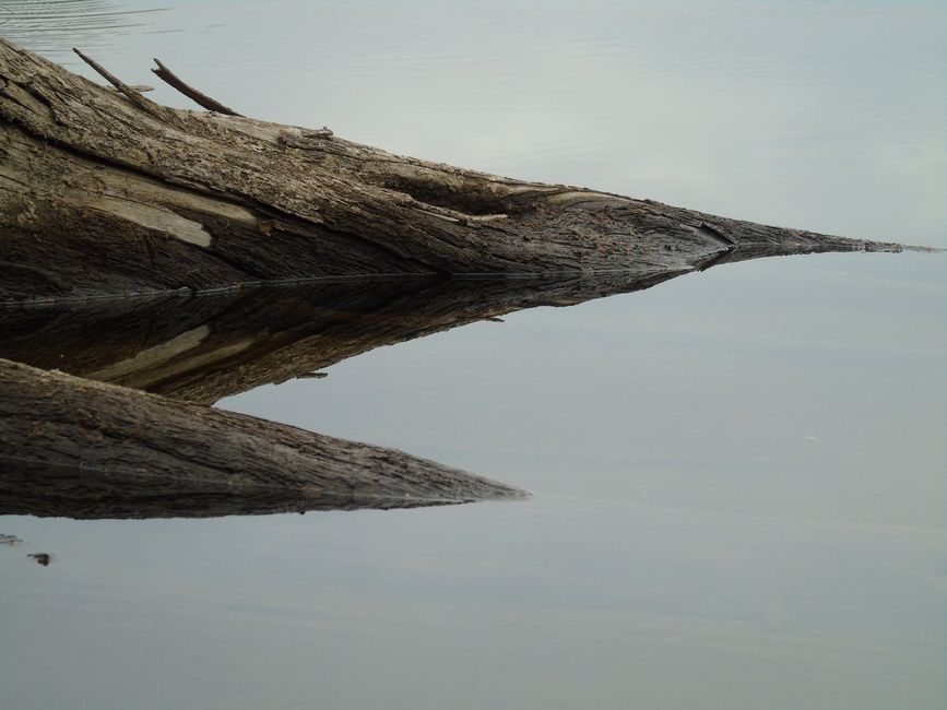 Where People Go Wrong With Understanding Health And Wellness — Part 2